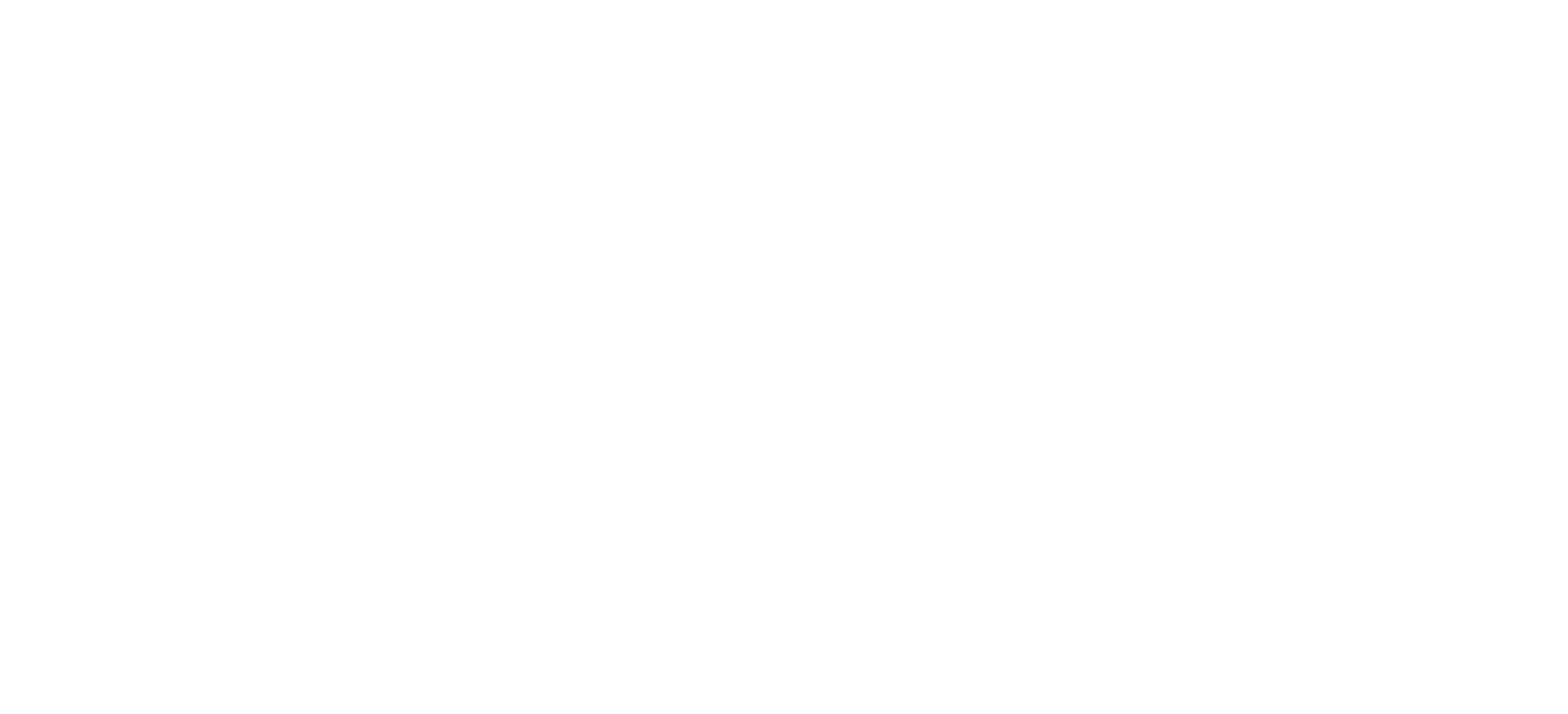 Don Kichot